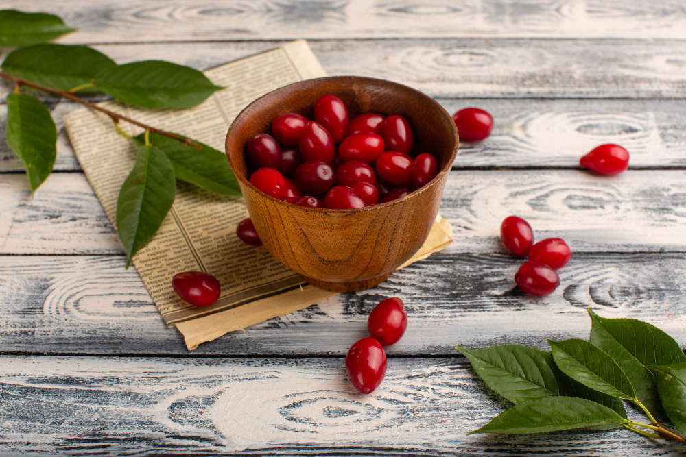 Bearberry Extract